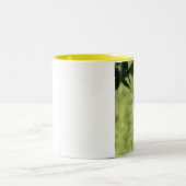 Mok van pileated Woodpecker Coffee (Center)