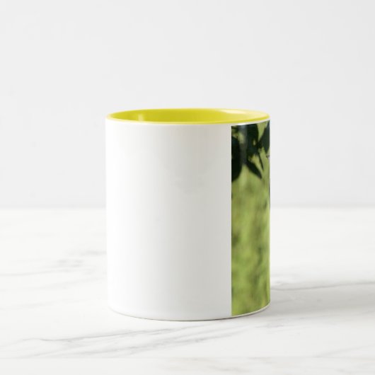 Mok van pileated Woodpecker Coffee (Center)