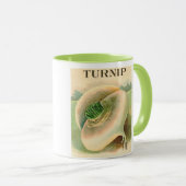 mok van  raapzaadpakket (Voorkant rechts)