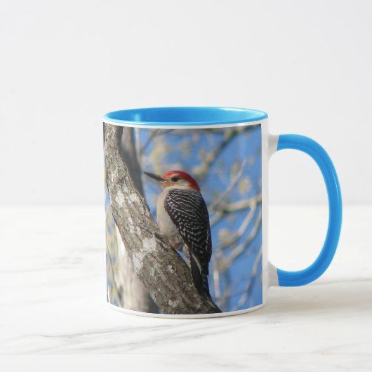 Mok van Red-bellied Woodpecker (Rechts)