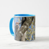 Mok van Red-bellied Woodpecker (Voorkant links)