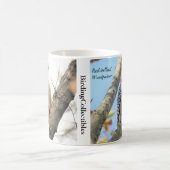 Mok van Red-bellied Woodpecker Coffee (Center)