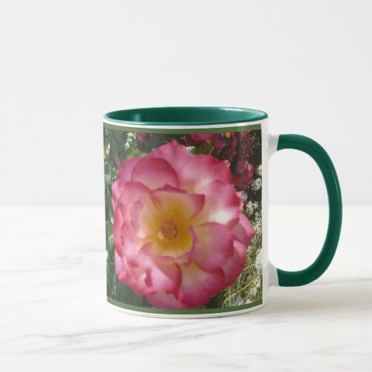 Mok van reuzenRoos (Rechts)