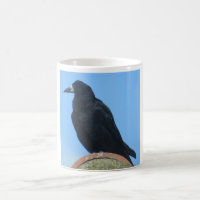 Mok van Rook Coffee