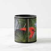 Mok van Scarlet Tanager (Midden)