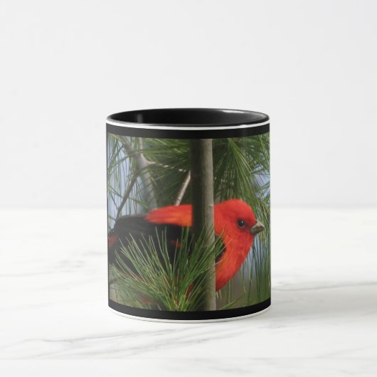 Mok van Scarlet Tanager (Midden)