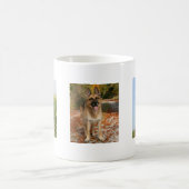 Mok van Shepherd Dog (Center)