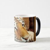 Mok van Siberian Tiger Morphing Coffee (Voorkant rechts)