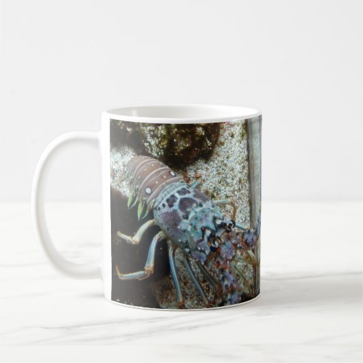 Mok van Starfish en Friends Coffee (Links)