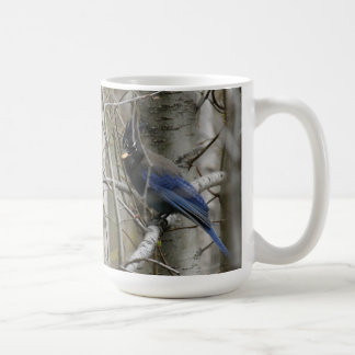 Mok van Stellers Jay