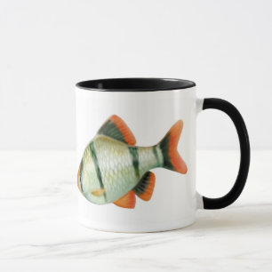 Mok van tijgerBarb Aquarium vis