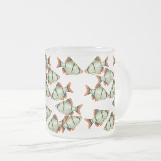 Mok van tijgerBarbs Aquarium vis (Voorkant rechts)