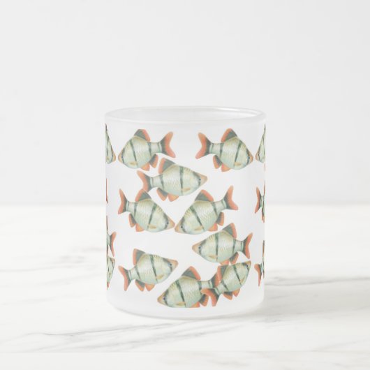 Mok van tijgerBarbs Aquarium vis (Center)