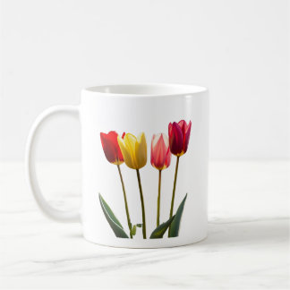 MOK VAN TULP