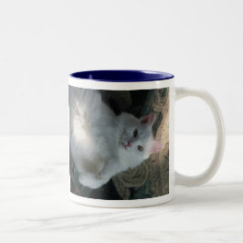 Mok van witte katten, Kat verrassend