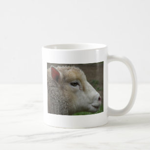 Mok van witte schapen