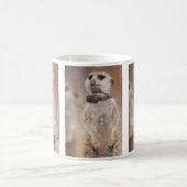 Mok van Zaphod meervlieger (Center)