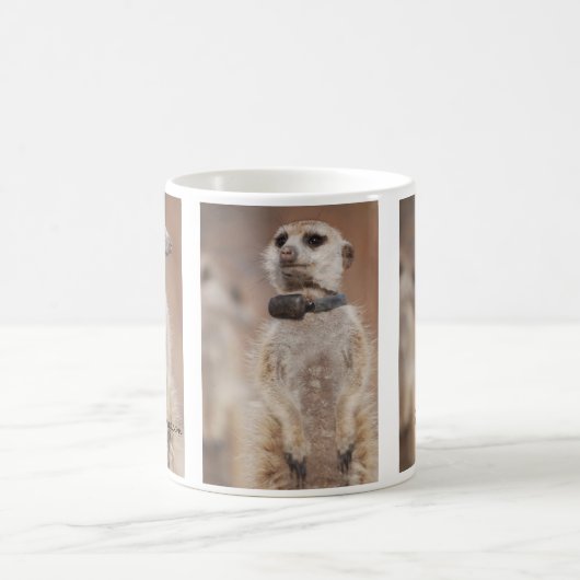 Mok van Zaphod meervlieger (Center)