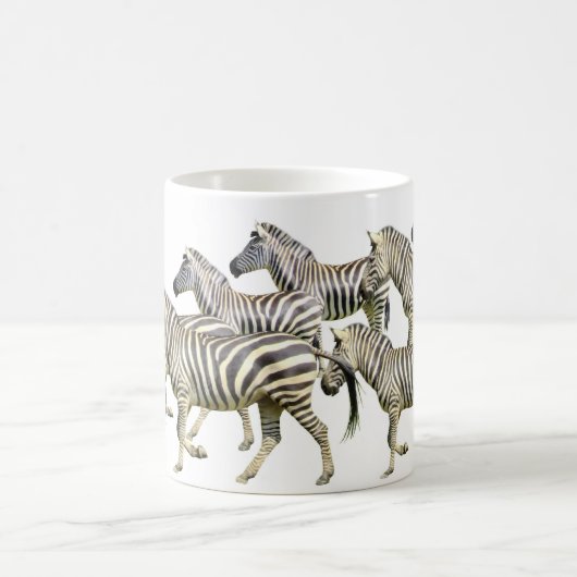 Mok van zebra (Center)