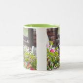 Mok van zoete vogels (Center)