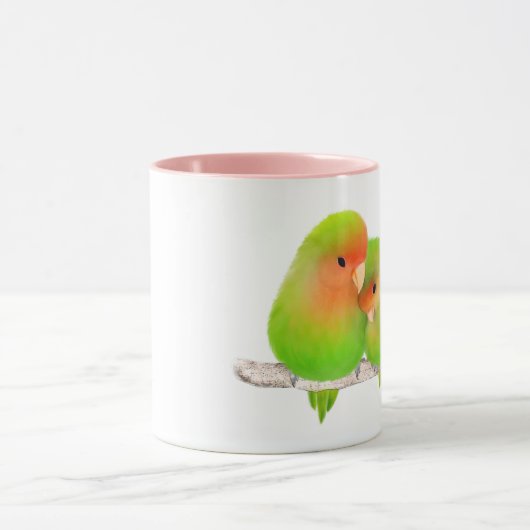 Mok vedervogels (Midden)