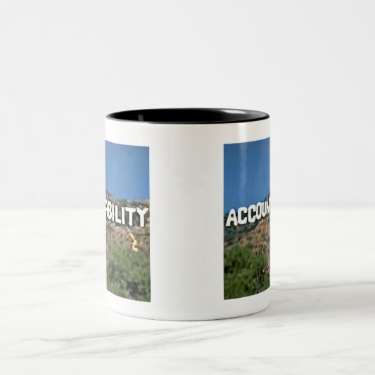 Mok verantwoordingsplicht (Center)