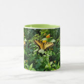 Mok vlinder (Midden)