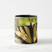 Mok vlinder (Midden)