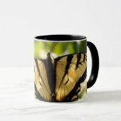 Mok vlinder (Voorkant rechts)