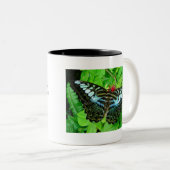 Mok vlinder (Voorkant rechts)