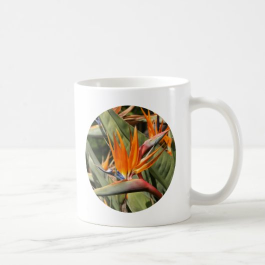 Mok, vogel van het Paradijs Koffiemok (Rechts)