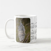 mok vogelkalender 2014 (Links)