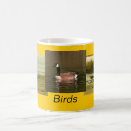 Mok - vogels