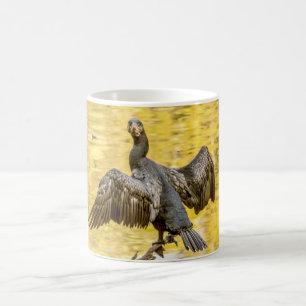Mok vogels - aalscholver