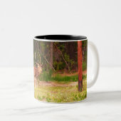 Mok voor Axiale herten (Voorkant rechts)