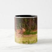 Mok voor Axiale herten (Center)