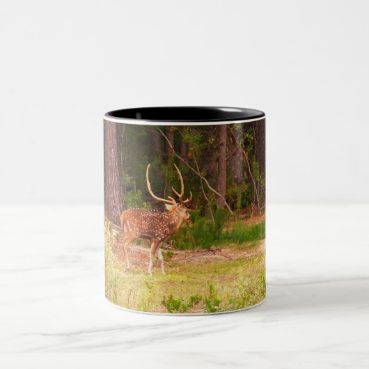 Mok voor Axiale herten (Center)