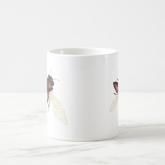 Mok voor buisjes, borstelbijen (Center)