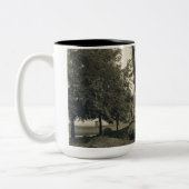 Mok VOOR DE NOORD-WEST ENGINEERING VAN CRANE SHOVE (Links)