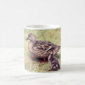 Mok voor eenden (Center)