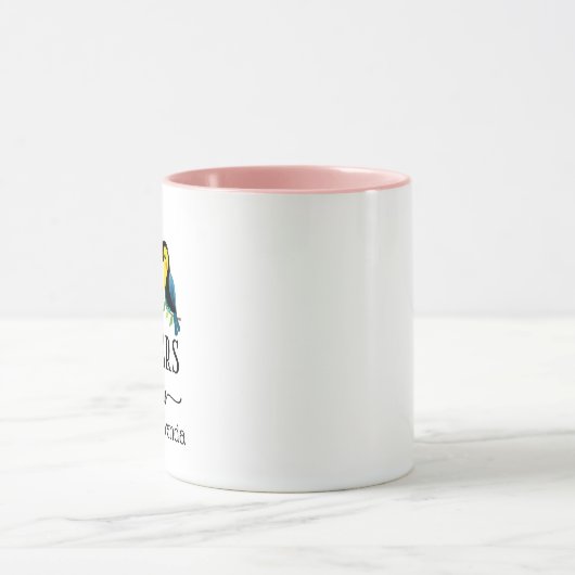 mok voor het afstemmen van het vogelkoppel op 40e  (Midden)