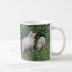 Mok voor het eten van schapen