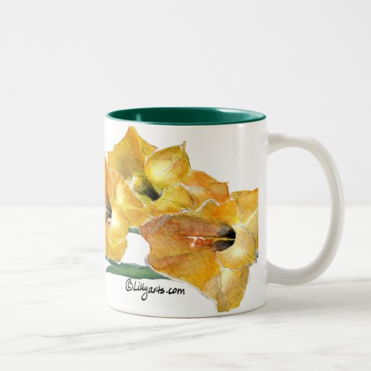 Mok voor het schilderen van Waterverf Gladiola (Rechts)