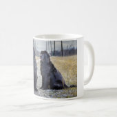 Mok voor honden op Newfoundland (Voorkant rechts)