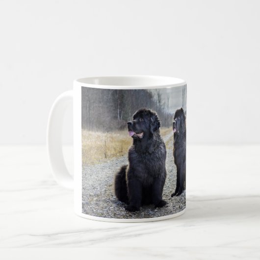 Mok voor honden op Newfoundland (Voorkant links)