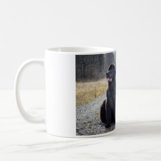 Mok voor honden op Newfoundland (Links)