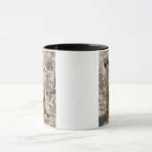 Mok voor intrede (Midden)