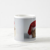 mok voor kerstmis - guinea ' s (Center)