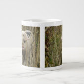 Mok voor kottenvarkens (Voorkant)