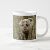 Mok voor kottenvarkens (Rechts)